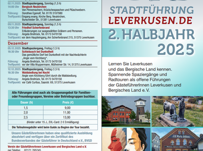25h2 flyer