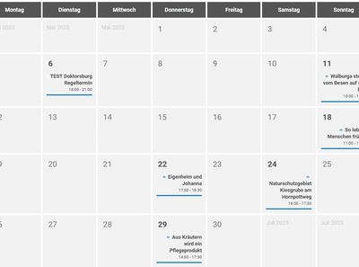 Die neue Homepage - Termine auch als Monatskalender