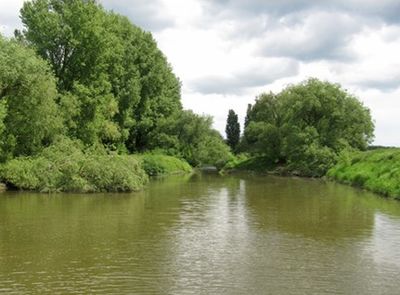 rheindorf 2