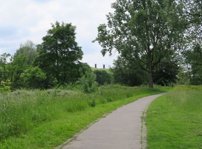 rheindorf 5