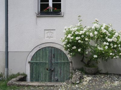 rheindorf 6