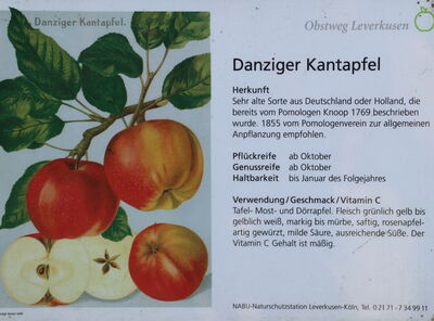 kantapfel